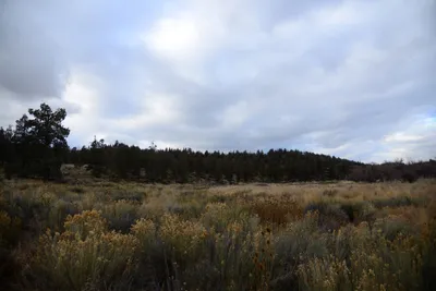 DSC_2924 (Large).JPG